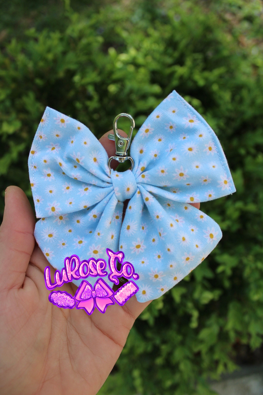 Mystery $2 bow keychain