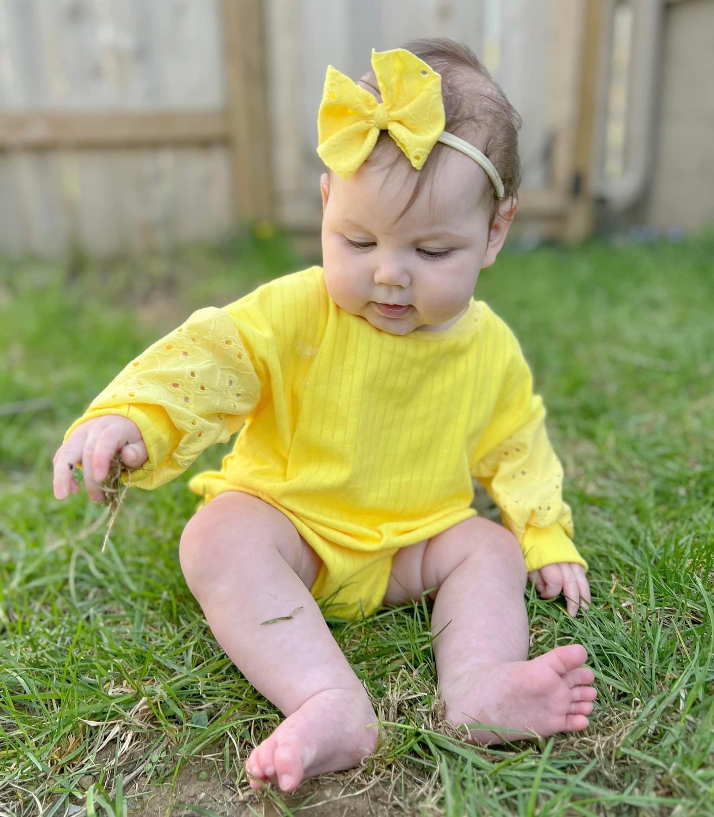 Yellow Eyelet Bow